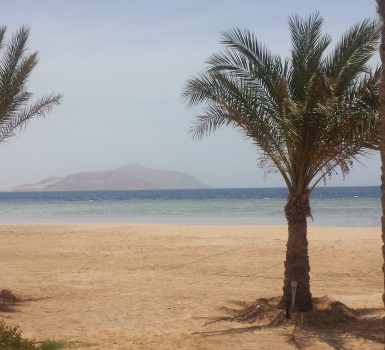 Thomas Cook cancel ALL Sharm el Sheikh holidays